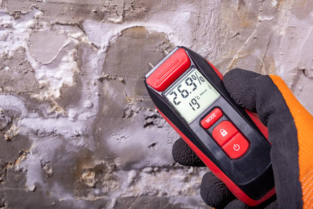 Best Crawl Space Mold Removal  in Somerville, TX