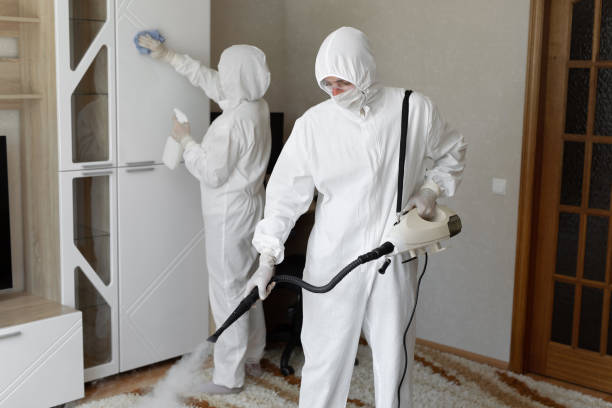 Best Mold Testing  in Somerville, TX