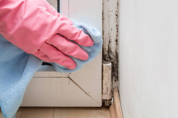 Water Damage Restoration in Somerville, TX